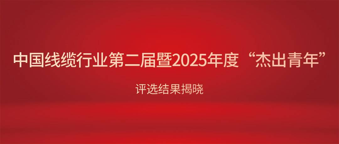 熱烈祝賀民興電纜總經理楊彥榮獲中國線纜行業“杰出青年”！